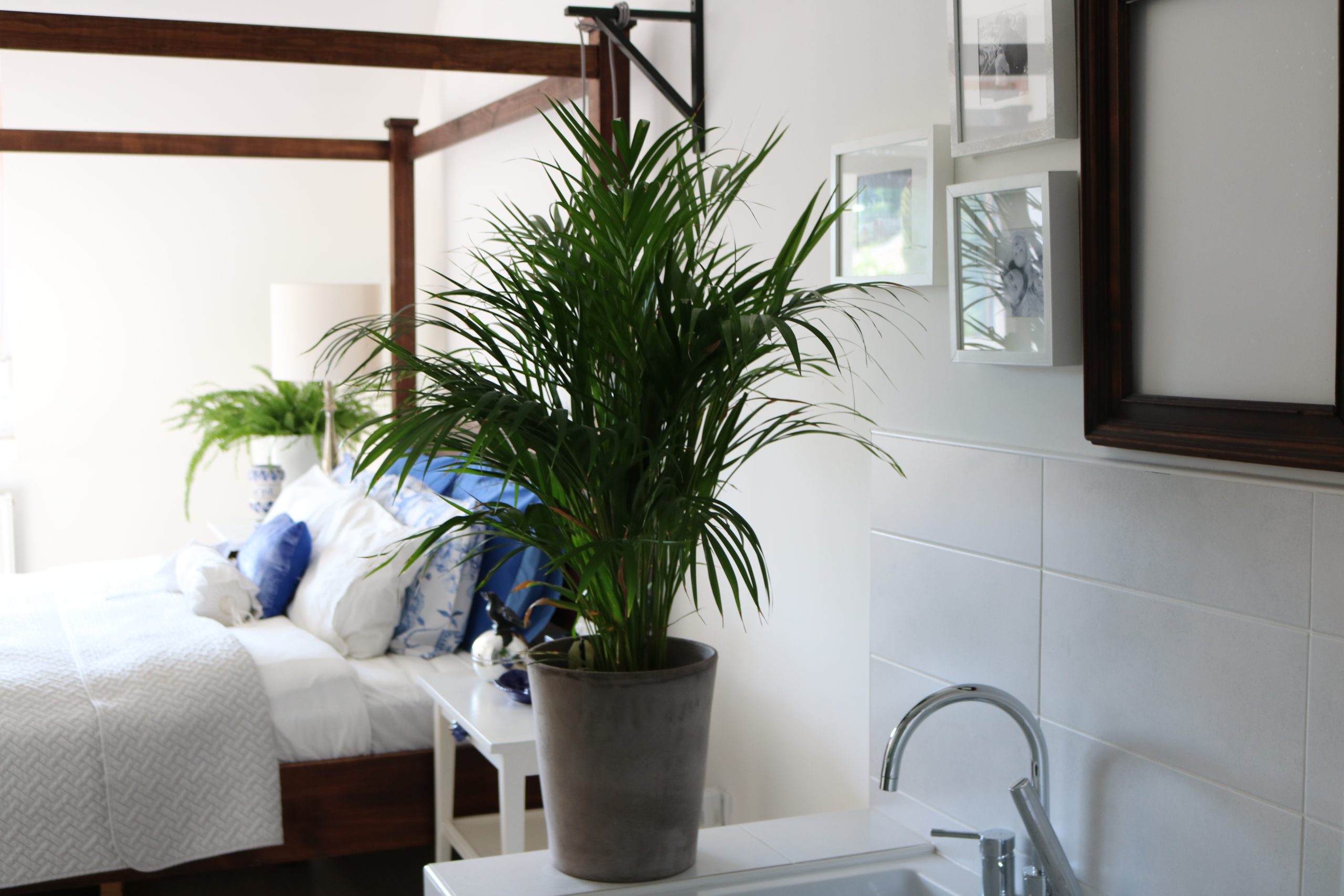 Atmosfera we wnętrzach.